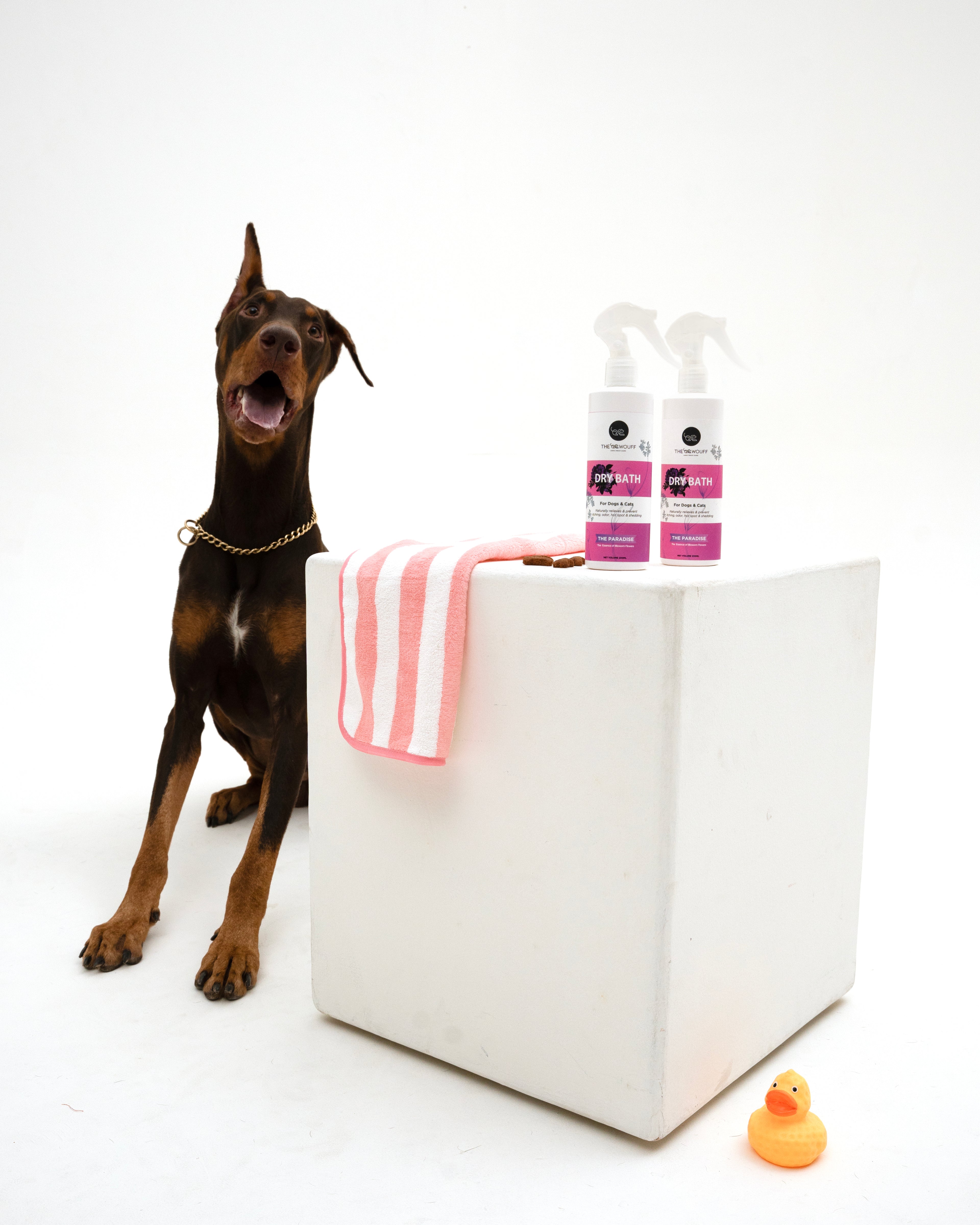 THE PARADISE DRY BATH