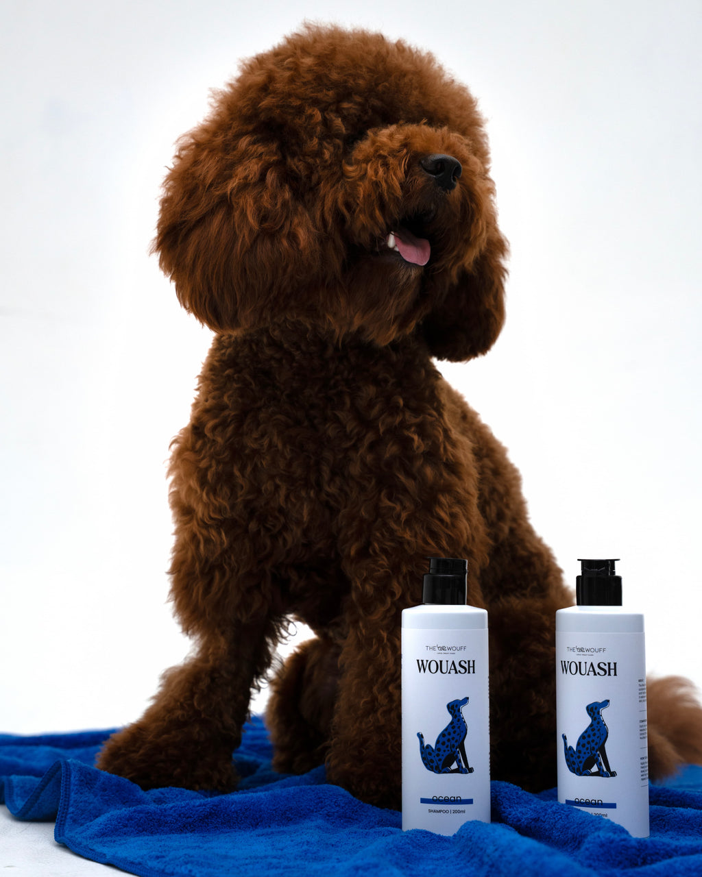 OCEAN WOUSH SHAMPOO