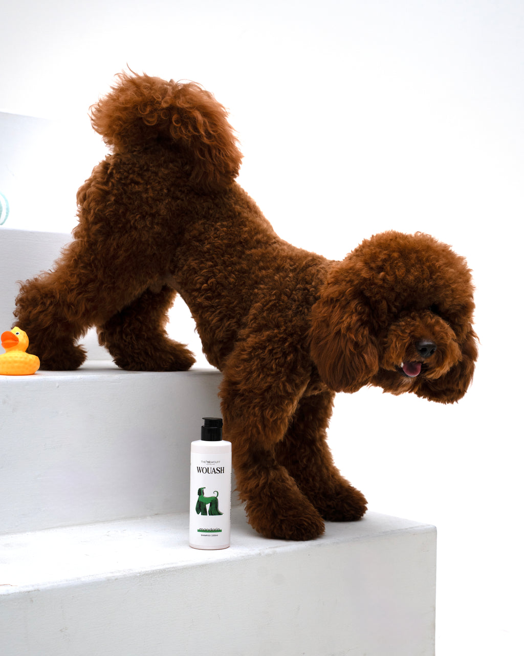 MANDARIN WOUSH SHAMPOO