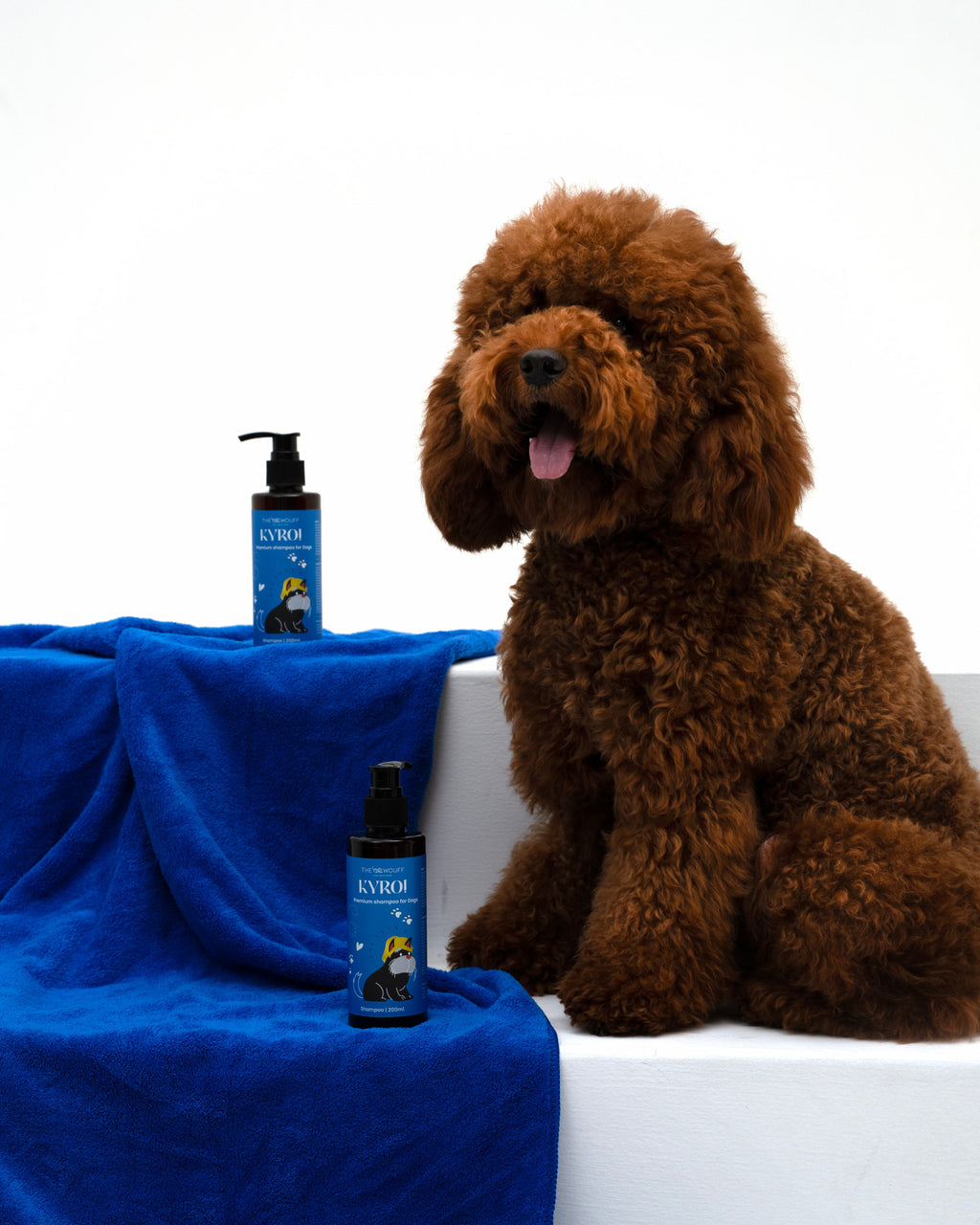 KYRO FOR DOGS