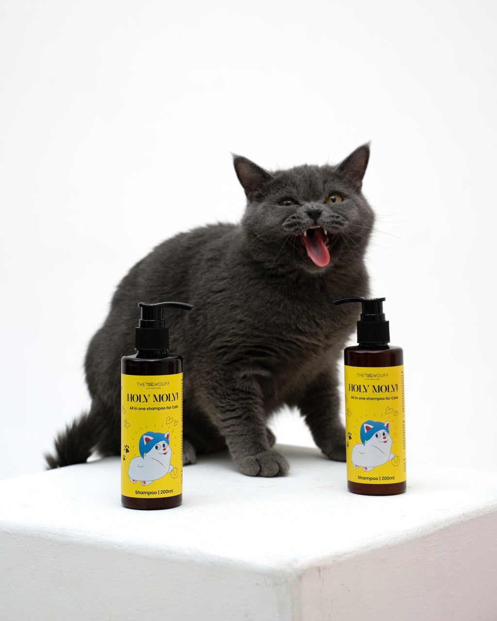 HOLY MOLY FOR CATS