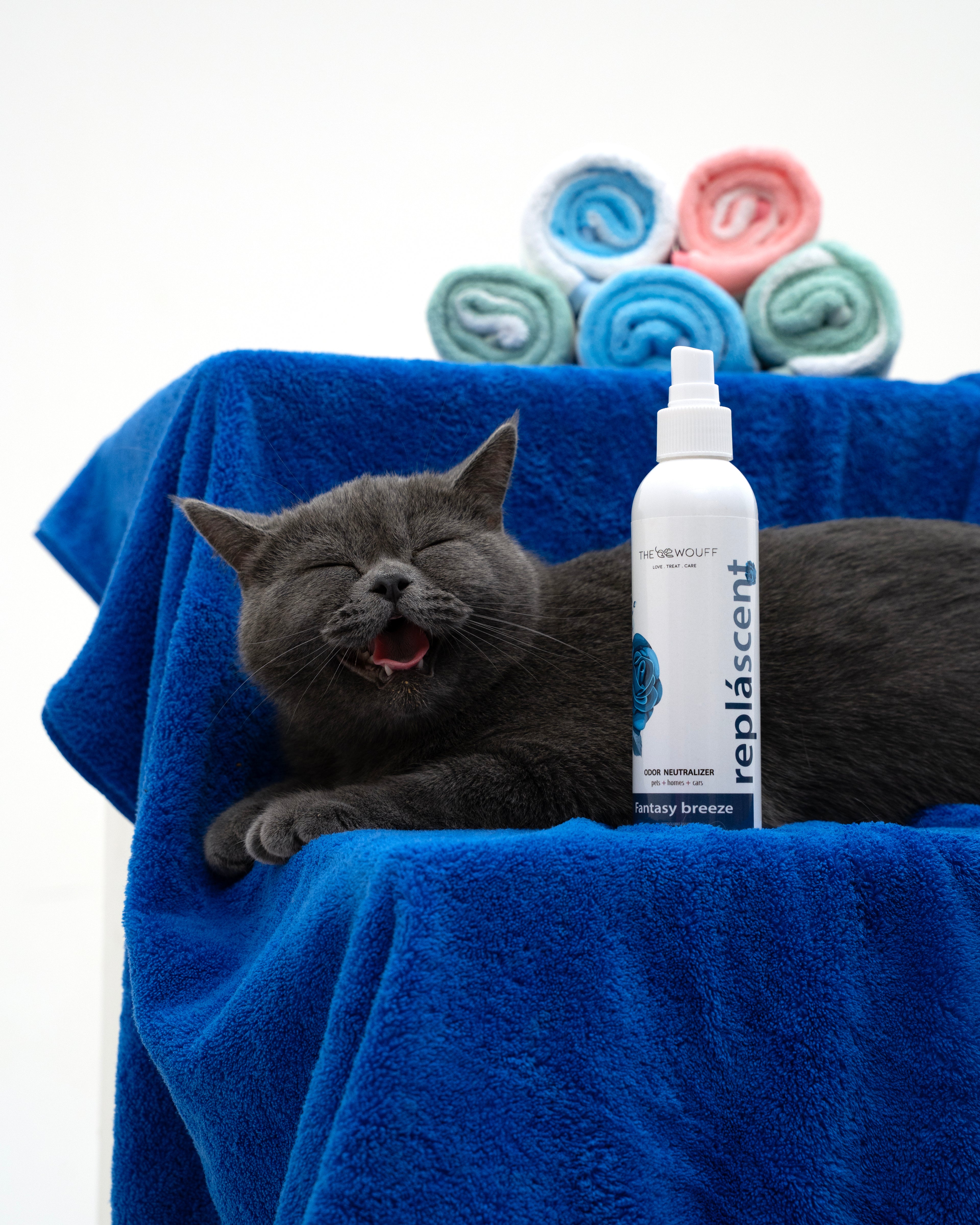 FANTASY BREEZE ODOUR NEUTRALISER