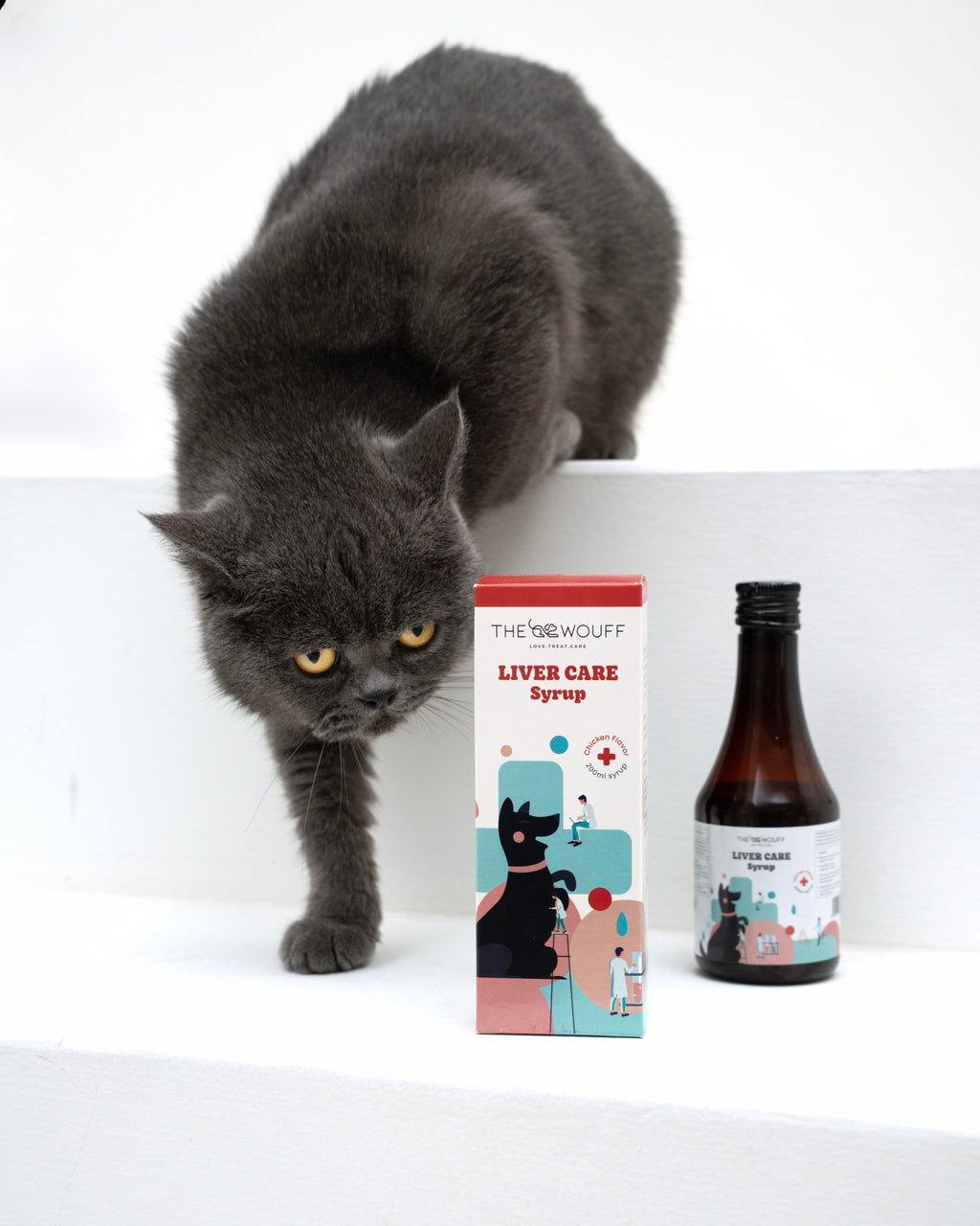 LIVER CARE SYRUP