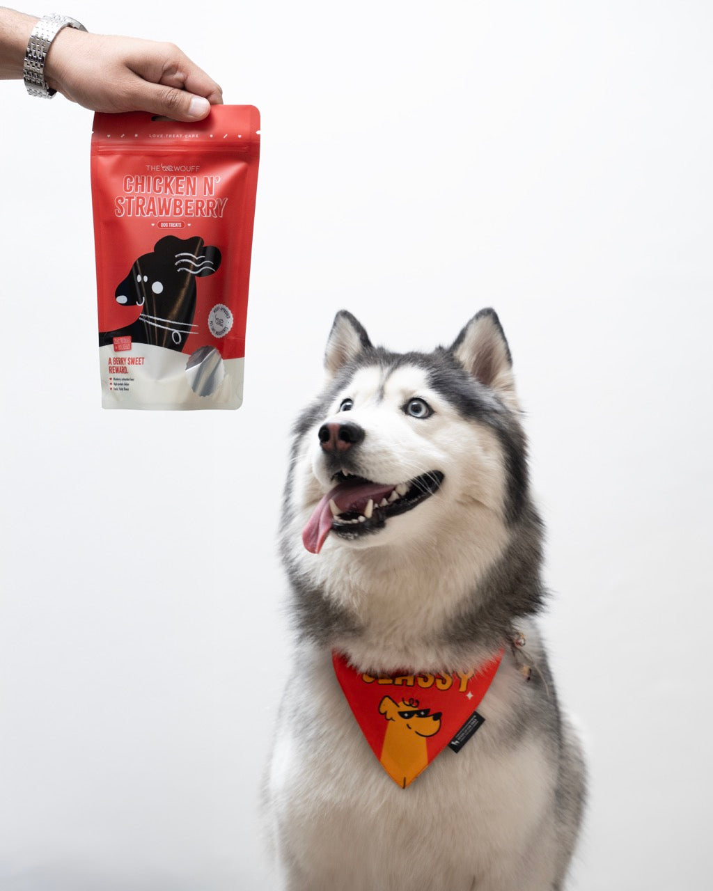 Chicken N’ Strawberry Dog Treats (Pack of 4) – Fruity Protein Dog Snacks