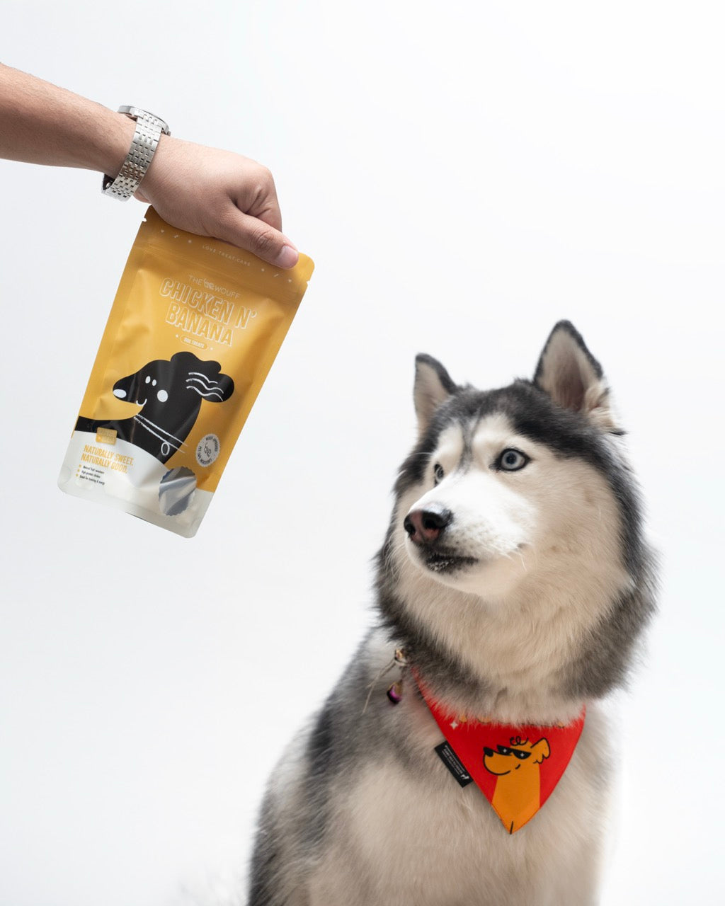 Chicken N’ Banana Natural Dog Treats (Pack of 4) - High Protein Training Snacks