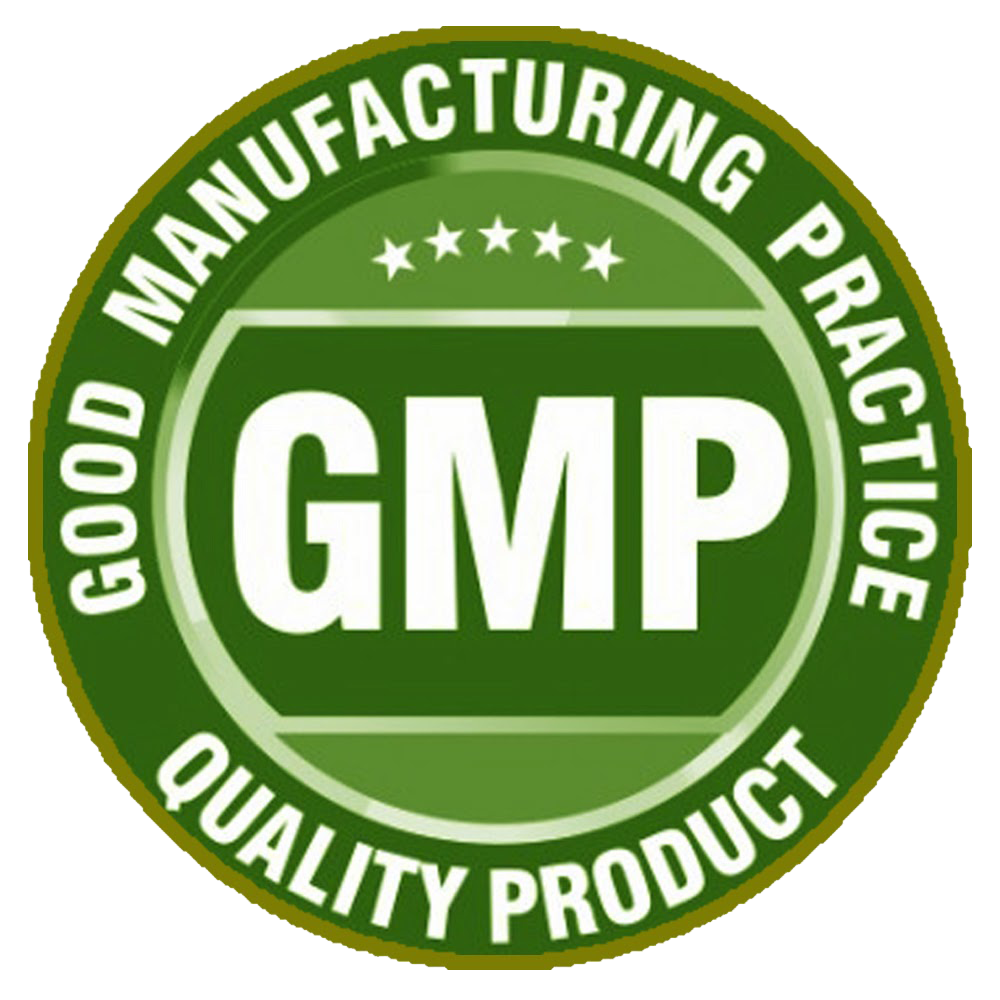 GMP Good Manufacturing Practice